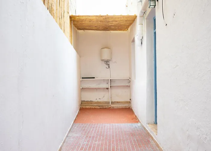 Live Playa Алькала